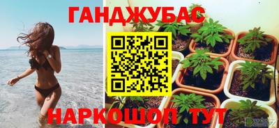 скорость Дубна