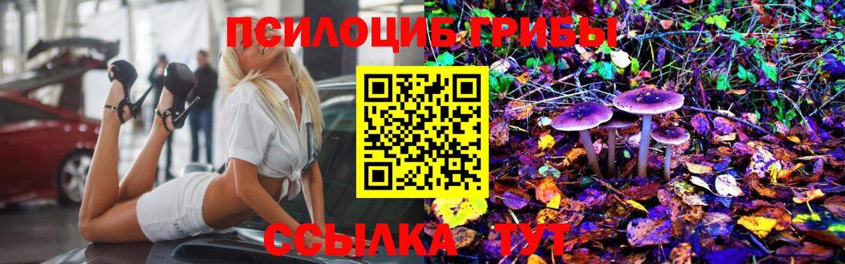 Галлюциногенные грибы Psilocybine cubensis  Галлюциногенные грибы прущие грибы  Вход с VPN  Кулебаки 